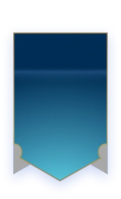 Vip Logo