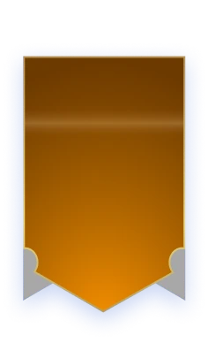 Vip Logo